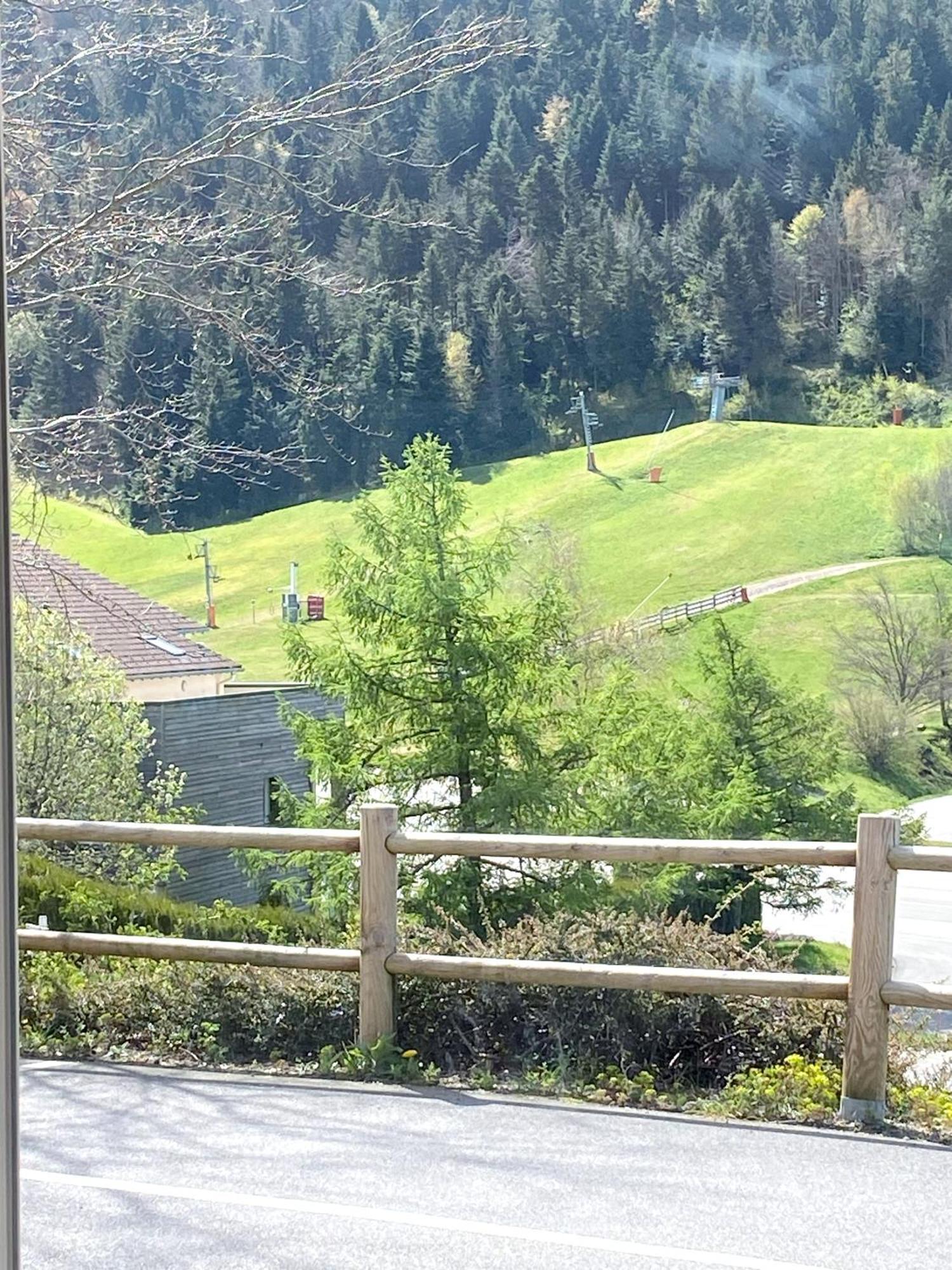 Appartamento Aux Pieds Des Pistes 4/6 Personnes Gérardmer Esterno foto